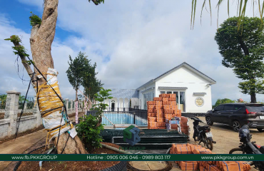 Homestay - Nghỉ Dưỡng - Mô Hình F&B